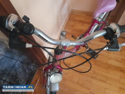 Rower - Obrazek 2