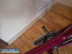 Rower - Obrazek 4