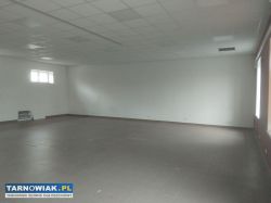 Giełdowa, lokal handlowo-usługowy, 274m2, parking - Obrazek 3