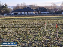 Błonie - budowlana , 9 arów - Obrazek 3