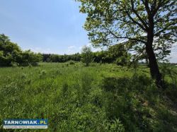 Strzelce Wielkie, dom na dużej dzialce - Obrazek 3