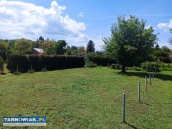 Działki ROD na sprzedaż (Mościce Tarnów) - Obrazek 3