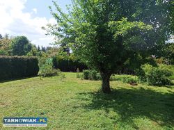 Działki ROD na sprzedaż (Mościce Tarnów) - Obrazek 4