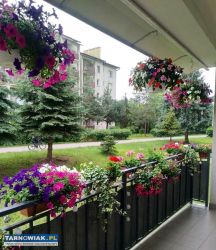 Mieszkanie Tarnów 60m2 - Obrazek 3