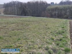 Szynwałd - widokowa , działka budowlana - Obrazek 3