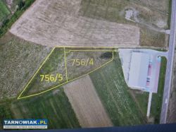 Olesno działki - Obrazek 2