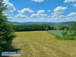 sprzedam działkę - Obrazek 2