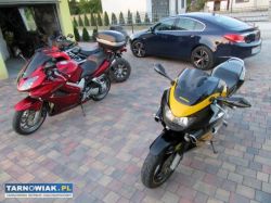Honda cbr 600f4 - Obrazek 4