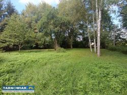 Skrzyszów, 41 ar - Obrazek 4
