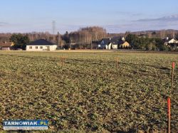 Błonie - działka budowlana, 9 arów - Obrazek 4