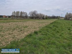 Koszyce Małe duża działka pod zabudowę mieszkaniow - Obrazek 2