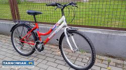 Rower Damka 24cale - Obrazek 3