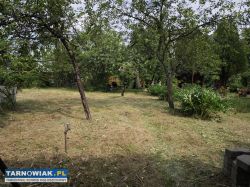 Ogródek działkowy ROD Metalowiec w Tarnowie. - Obrazek 1