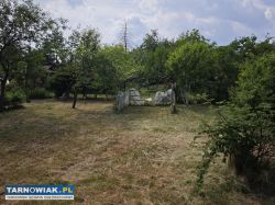 Ogródek działkowy ROD Metalowiec w Tarnowie. - Obrazek 3