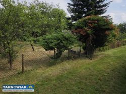 Ogródek działkowy ROD Metalowiec w Tarnowie. - Obrazek 4