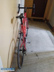 Kolarzowka Specialized rama XXL - Obrazek 3