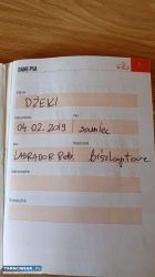 Oddam za darmo w dobre ręce - Obrazek 2