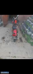 Wsk 125 - Obrazek 2