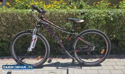 Rower Kross Lea F1 - Obrazek 1