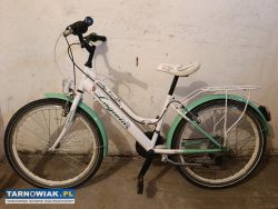 Rower dla dziewczynki - Obrazek 2