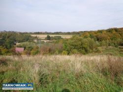 Działka 31 arów – Woźniczna, gmina Pleśna - Obrazek 2