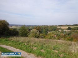 Działka 31 arów – Woźniczna, gmina Pleśna - Obrazek 4