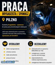 Szukamy brygadzisty – spawacza  Pilzno - Obrazek 1