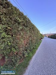 Działka Skrzyszów - Obrazek 4