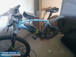 Rower elektryczny - Obrazek 1