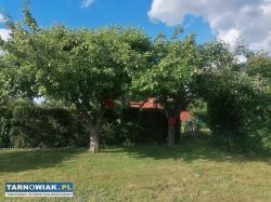Ogródek ROD ul. Skrzyszowska - Obrazek 3