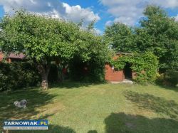 Ogródek ROD ul. Skrzyszowska - Obrazek 4