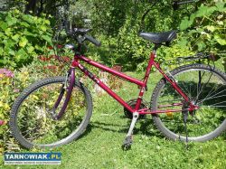 Rowery damskie 26 cali. - Obrazek 3