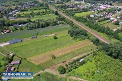 Kępa Bogumiłowicka - Obrazek 2