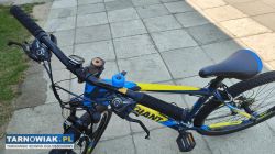 Rower 26 Giant Revel alu rama 16 cali - Obrazek 2
