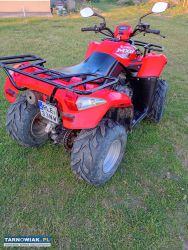 Kymco 250 mxu - Obrazek 2