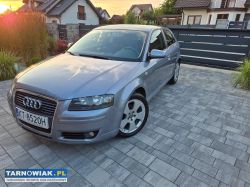 Audi a3 8p 1.6 mpi 2007r euro4 - Obrazek 1