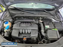 Audi a3 8p 1.6 mpi 2007r euro4 - Obrazek 3