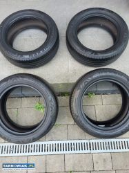 Nexen 225/55r17 - Obrazek 1