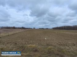 Atrakcyjna Działka Klikowa - Obrazek 1