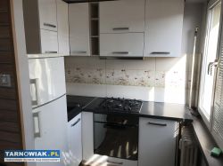 Kawalerka Skowronków - Obrazek 2