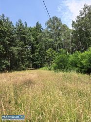 Działka zagrodowa z warunkami zabudowy – 37 arów | - Obrazek 3