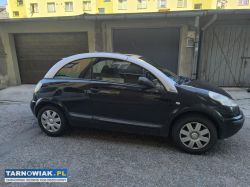 Citroën C3 Pluriel z 2005 roku - Obrazek 2