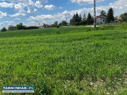 Duża działka WZ w trakcie gm. Wierzchosławice - Obrazek 4