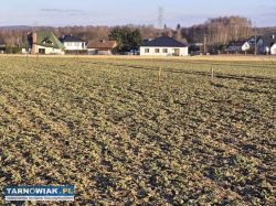 Błonie - działka budowlana, 9 arów - Obrazek 4