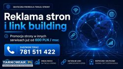 Prowadzenie Facebooka PREMIUM od 1000 PLN – strate - Obrazek 1