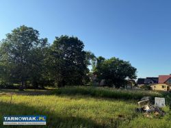 Działka budowlana zgłobice / koszyce małe - Obrazek 2