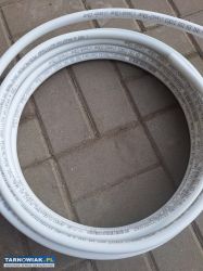 Pex al pex - Obrazek 1