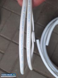 Pex al pex - Obrazek 4