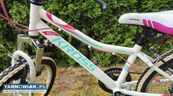 Rower 20 Kross Rica rama 11 cali bdb stan - Obrazek 2