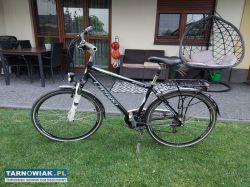Sprzedam rower męski firmy LAZARO model senatore V - Obrazek 2